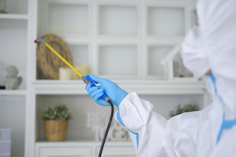 Honest Hawx Pest Control Reviews From Long-Term Clients