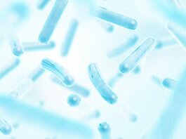 New Study Confirms the Effectiveness of Bio-K+ in Reducing the Incidence of Clostridioides difficile Infection